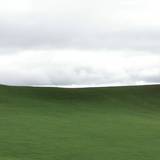城君