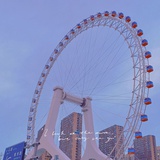 Jo采