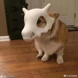 Sado
