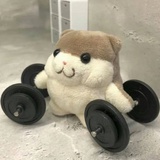 迷路锅锅