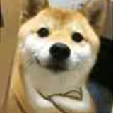 二十未果