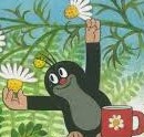 懒mole