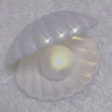 zaar