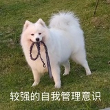 Holiday的假期