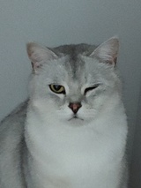 九十九