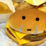 铁血鸽鸽