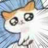 特码头