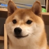 牛仔皇冠👑