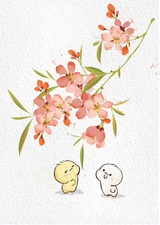 认真读书的33