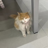 灵犀本本