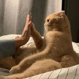 井儿井