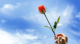 该账号已注销