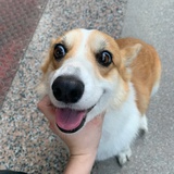 豆友223762856