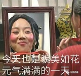 鸽子