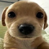 Yawnnnb