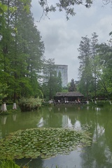 桃山
