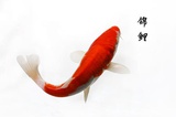 风华