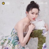 述梦