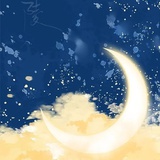 应是