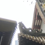 传说的蘑菇