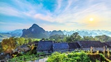 快来一只灌灌鸟