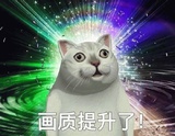 陆唯