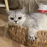 文静的小女孩