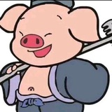 华宇