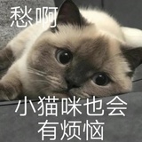 喝酸奶想不舔盖