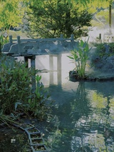 邬珩