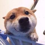 小璐飞飞飞