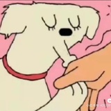 h你学会了酶