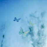 游到海水变蓝