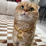 小樱桃