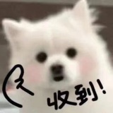 以得鹿终梦鱼