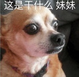 后空翻深海葵花