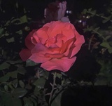 孟三餐