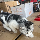 三天看书四天睡