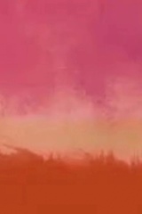阿尼拓