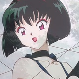 王棹圆