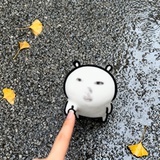 蝴蝶霏霏
