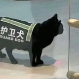 临珩