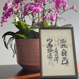 鎏金岁月