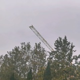 am964