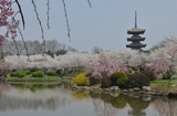 铭雾涵