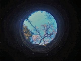 除以零