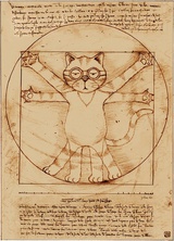 citachi