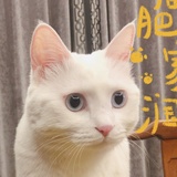 七川漓