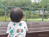 陌陌捕鱼