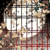 福弗